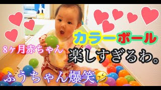 【生後8ヶ月赤ちゃん】～100個のカラーボール遊びで大爆笑～【育児vlog】