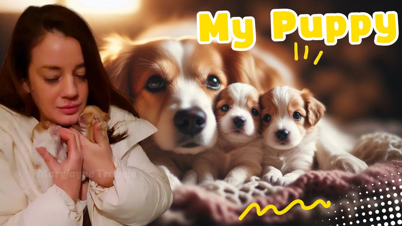 Breastfeeding Puppies: A Heartwarming Moment - YouTube