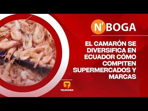 El camarón se diversifica en Ecuador cómo compiten supermercados y marcas