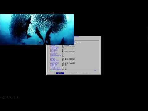 Framebuffer video test