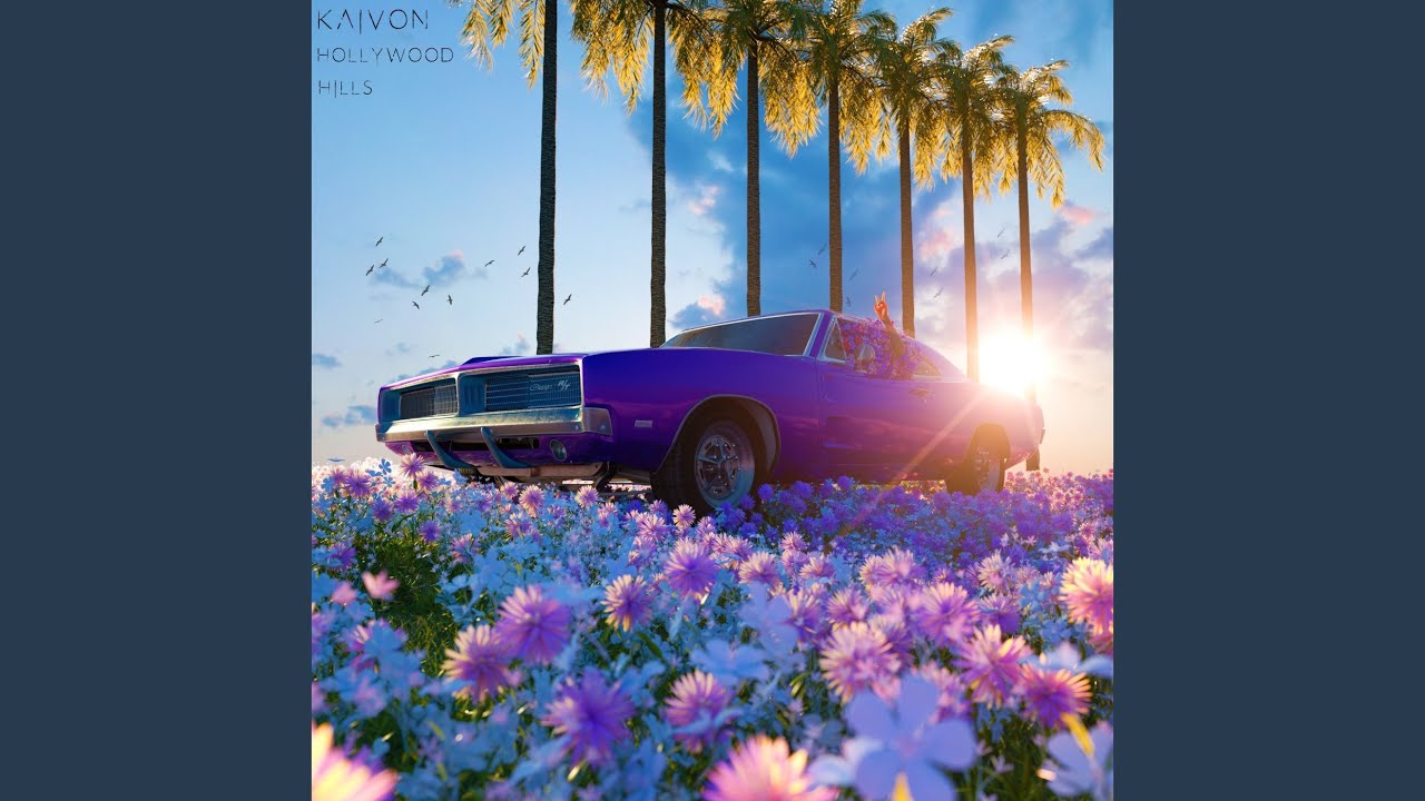 Hollywood Hills YouTube