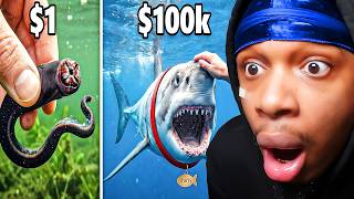 Lil Rico Reacts To $1 vs. $100,000 Pet Fish!