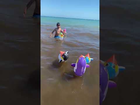 🎬 Video relacionado con pingüinos inflables para la playa