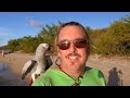 GRATEFUL Challenge 2015 - Day 4 - Beach Walk in Trellis Bay, British Virgin Islands, CARIBBEAN