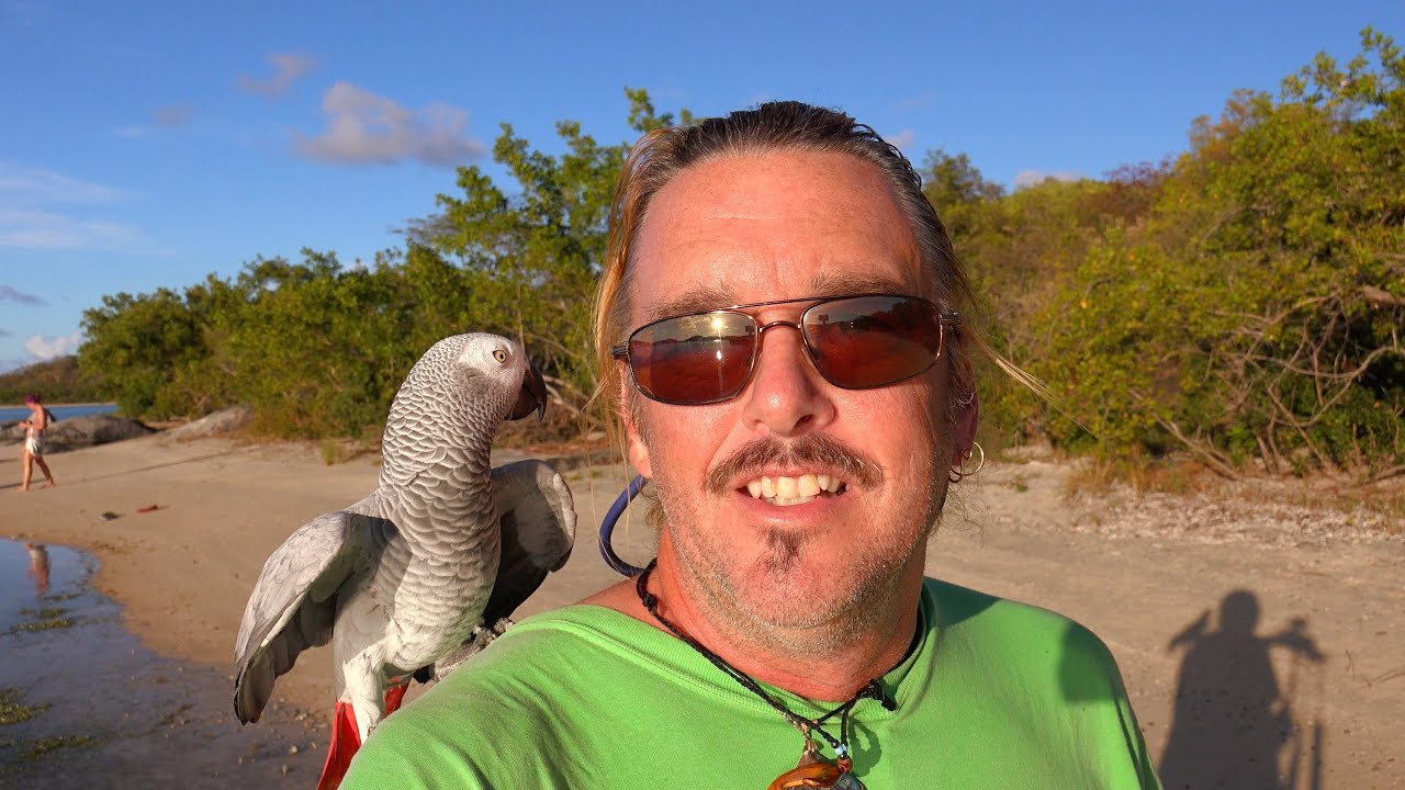 GRATEFUL Challenge 2015 – Day 4 – Beach Walk in Trellis Bay, British Virgin Islands, CARIBBEAN