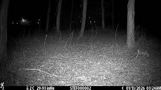 VOLPE - 13/01/2026 - 03:24