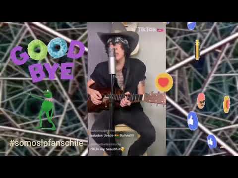 LP - Goodbye