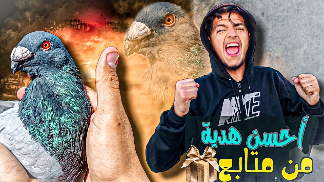 لا ما يمكنش 🤯 وصلاتني احسن هديه من احسن متابع 🤩