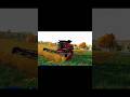 New Harvester cutting field ❌❌#indiantractor3d #farmingsimulator22