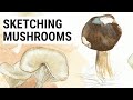Sketching a basic mushroom | watercolor demonstration