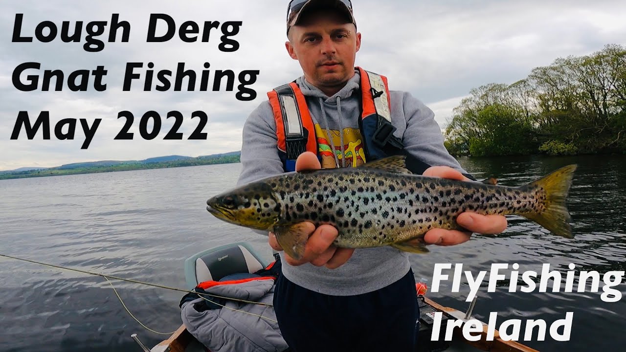 Dry Fly Spent Gnat fly fishing for Trout during the Mayfly on Lough Derg  Ireland 