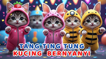TANG TING TUNG VERSI KUCING LUCU DAN KAWAN KAWAN TERBARU