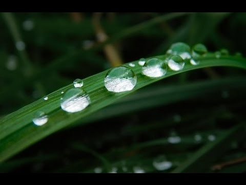 Écouter Bruit de pluie pour dormir de Sons De Pluie, Hi-Def FX