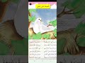الصف الثاني ابتدائي نشيد الحمامة تبني وتغني رايت في الحديقة حمامة رشيقة 