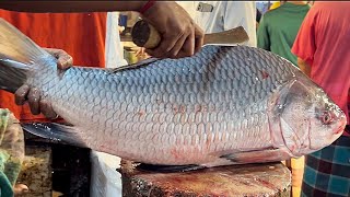 Incredible Giant Katla Fish Cutting Skills Live In Fish Market | Amazing Fish Cutting Skills