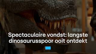 Download Lagu Langste dinosaurusspoor ooit ontdekt in Engelse steengroeve | RTL Nieuws MP3 Download Lagu Langste dinosaurusspoor ooit ontdekt in Engelse steengroeve | RTL Nieuws MP3
