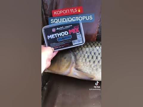 Короп на 11,5 кг) - YouTube