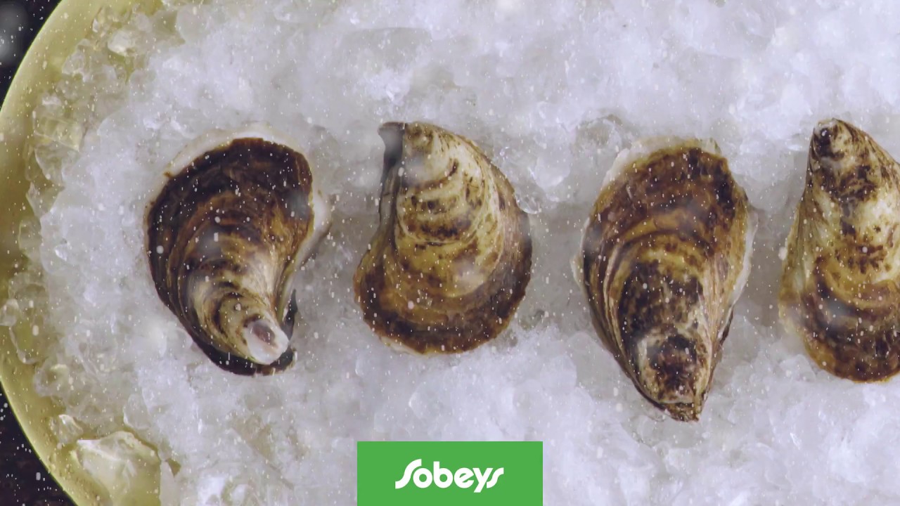 How to shuck an Oyster! It's easier than you think! 