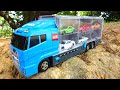 12 world sports cars & Takara Tomy cleanup convoy!