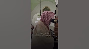 سورة الأحزاب - القارىء الوليد الشمسان