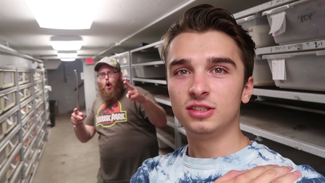 video phone beyonce mp3 Eric And I Feeding Huge Snakes! :BadChoiceNoah