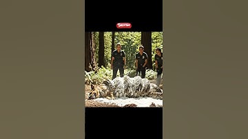 Brave Rangers Save Dog From Giant Python#snake #rescue