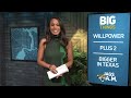 Reacting to Week 11 Win: Is the Offense Back on Track? | Jags A.M. | Jacksonville Jaguars