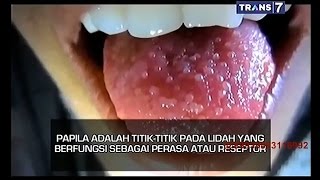 On The Spot - Rasa Pedas Pada Cabai