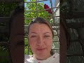 Innere Leere! Woher kommt es? #content #heilen #realität #tiefe #werte #мистика #spiritual 