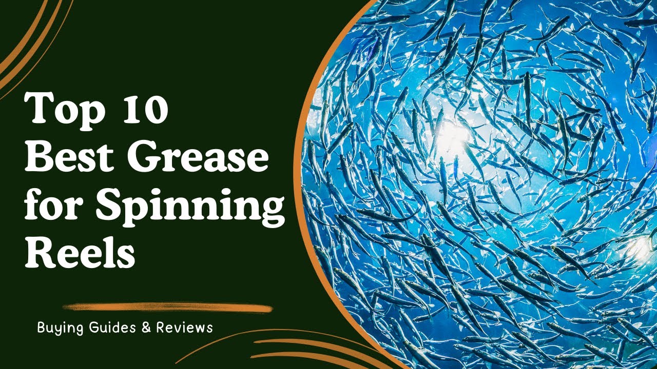 Top 10 Best Grease for Spinning Reels - YouTube