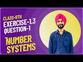 Exercise 1.3 question 1 solution ||class9th||Number system