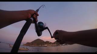 PESCA DE ORILLA, BARRACUDAS Cabo san lucas