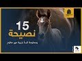 خمسة عشر نصيحه ومعلومة لتبدأ بتربية مهر عظيم 