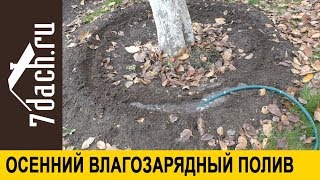 👩‍🌾 Осенний влагозарядный полив: что поливать, каким способом и насколько обильно - 7 дач