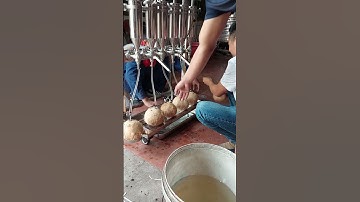Máy chiết rót nước (rượu) cho trái dừa (Cokhichetaomienbac.com)
