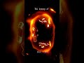 Cell division animated version #biology #science #shorts #trending