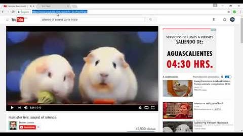 como insertar musica a c++