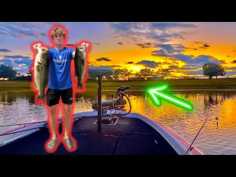 CRAZY TOPWATER Bass Fishing in Small Lake!! (On the NEW CHAMPION 181)