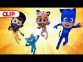 The Dance of Two Cats 🐱🐱 | PJ Masks Power Heroes | @disneyjunior  x @PJMasksOfficial