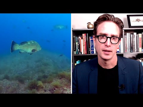 Dan Riskin on why fish are swimming to deeper waters