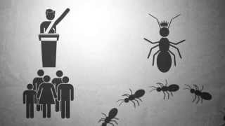 2.6 - Organización social