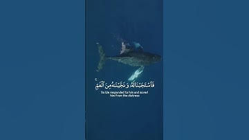 قران كريم 💙#quran #المصحف #إستمع