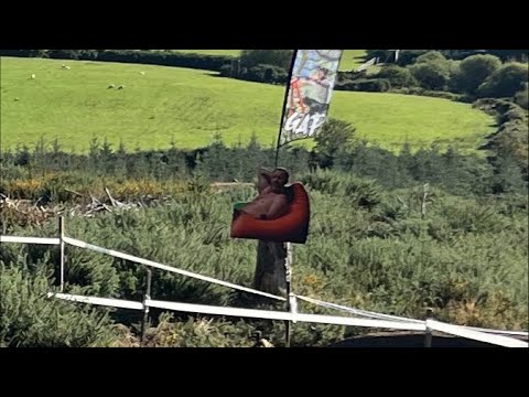 IDMS GAP -  RACE RUNS