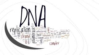 Chapter 4. How Cells Store Genetic Information