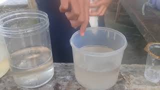 Dampak Pencemaran Detergen Terhadap Kelangsungan Hidup Ikan