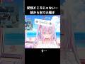配信どころじゃない…朝から虫で大騒ぎ🥺