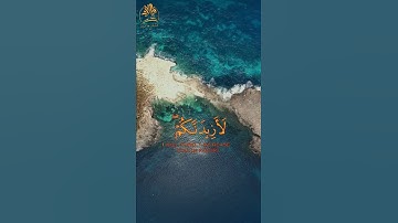 قرآن كريم | ما تيسر من سورة إبراهيم | تلاوة مباركة بصوت عذب وجميل | القارئ الشيخ ناصر القطامي