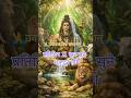Mahamrityunjay mahamantra🐋🕉️ #mahamrityunjayamantra#shivji#mantra#chanting#shorts