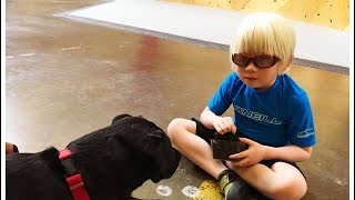 Adaptive Climbing Group: Diversity and Inclusion