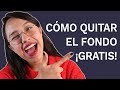 Cómo Quitar El Fondo A Una Imagen - 3 Herramientas Gratis